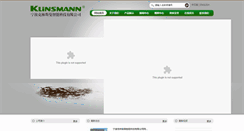 Desktop Screenshot of klinsmann.cc