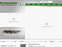 Tablet Screenshot of klinsmann.cc